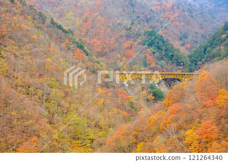 Autumn view from Mameyaki Bridge, Chichibu City, Saitama Prefecture Autumn view from Mameyaki Bridge, Chichibu City, Saitama Prefecture 121264340