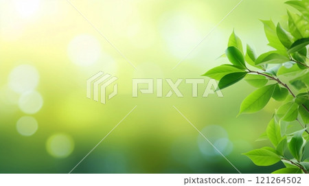 Fresh greenery and light, background with blank space and copy space 121264502