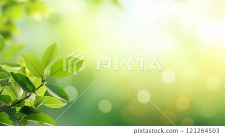 Fresh greenery and light, background with blank space and copy space 121264503