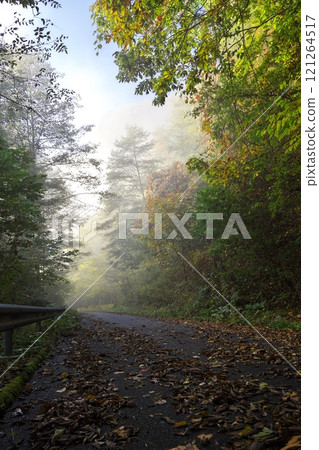 Looking up at the Kurakoshi Plateau from the Kurakoshi Panorama Line road, shrouded in mist and autumn leaves 121264517