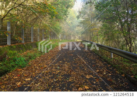 Looking up at the Kurakoshi Plateau from the Kurakoshi Panorama Line road, shrouded in mist and autumn leaves Looking up at the Kurakoshi Plateau from the Kurakoshi Panorama Line road, shrouded in mist and autumn leaves 121264518