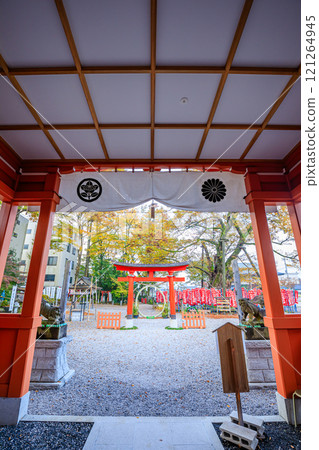秋天的秩父今宮神社，埼玉縣秩父市 121264945