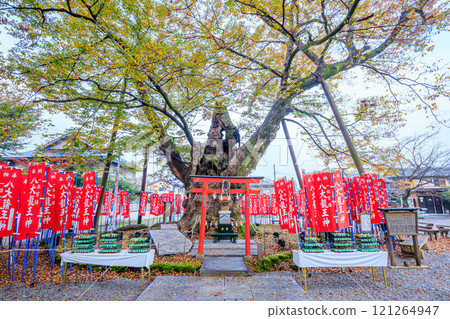 秋天的秩父今宮神社 埼玉縣秩父市龍神記 121264947