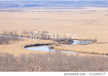 北海道釧路濕原風景 北海道釧路濕原風景 121265217