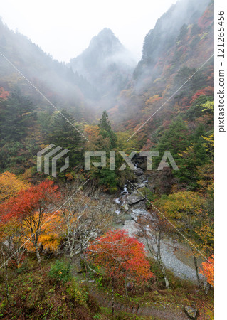 View of the Setogawa Valley from an observation deck in autumn (Tosa Town, Kochi Prefecture) 121265456
