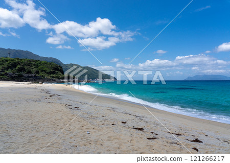 屋久島 永田稻中濱 屋久島 121266217