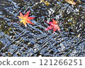 秋天的樹葉漂浮在河面上 121266251