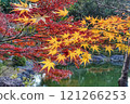 在池塘發光的秋葉 121266253