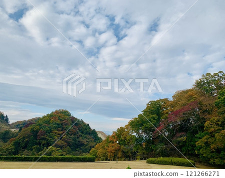 一座變成紅色葉子的山 121266271