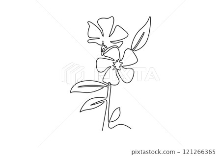 Single continuous line drawing of beauty fresh catharanthus for garden logo. Decorative periwinkle flower concept for home wall decor art poster print. One line draw graphic design vector illustration 121266365