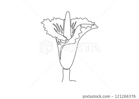 Single one line drawing beauty fresh amorphophallus titanum for home wall decor art poster. Decorative titan arum flower for national park icon. Continuous line draw design graphic vector illustration 121266376