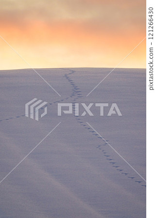 北海道美瑛冬季的雪原和日落景色 121266430