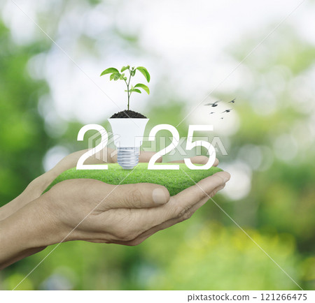 Happy new year 2025 green ecology and saving energy concept Happy new year 2025 green ecology and saving energy concept 121266475