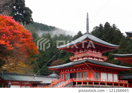 滋賀縣有著深厚的歷史（比叡山延歷寺、法華外德院東塔。在深秋的細雨中，與秋葉交相輝映。） 121266665