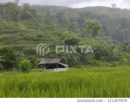 In the middle of a lush green field stands a small, cozy hut 121267659