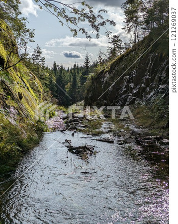 the forest road flooded by flood in Norway 121269037