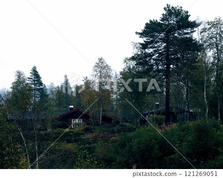 a Norwegian lake surrounded by trees on a dark rainy day 121269051