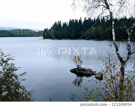 a Norwegian lake surrounded by trees on a dark rainy day a Norwegian lake surrounded by trees on a dark rainy day 121269054