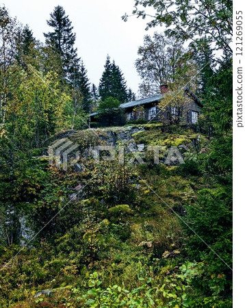a house on a rock in the middle of a forest on a rainy foggy day in Norway 121269055