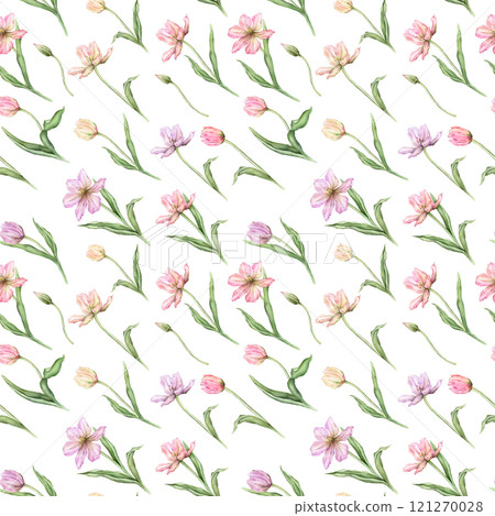 Seamless pattern of pastel pink light violet yellow bud Tulips watercolor illustration isolated on background. Hand drawn delicate spring perennial bulbous flower for spring wedding repeat design 121270028