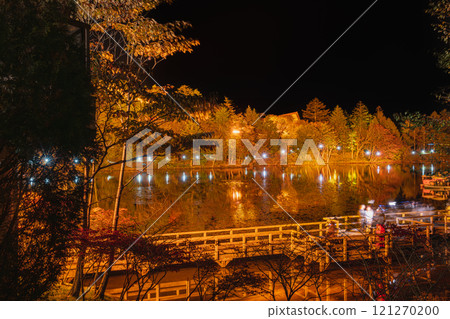 Illuminated autumn leaves starting to change color on the Chausuyama Plateau and trees reflected on the water at Yahazu Pond (Aichi Prefecture) 121270200