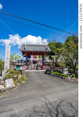 The main hall of Kongoji Temple at Mitani Kobosan in Gamagori City stands out against the blue sky (Aichi Prefecture) 121270436