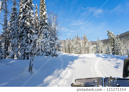 Winter road. Red snowcat rides in a snowy spruce forest, view from the cab 121271354
