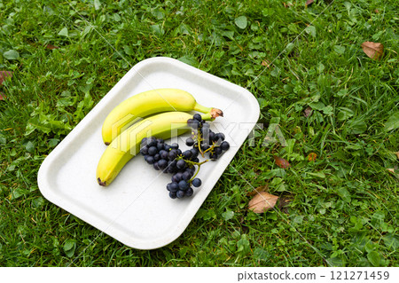 Two bananas and a bunch of grapes on a tray placed on grass. 121271459