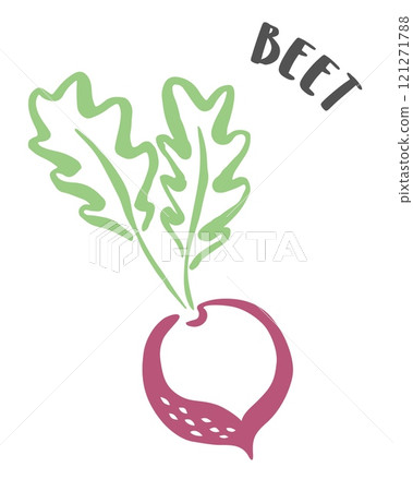 Beet hand painted with ink brush isolated on white background 121271788