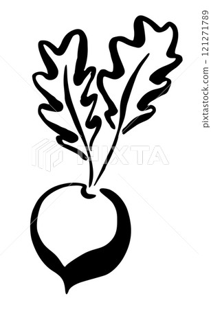 Beet hand painted with ink brush isolated on white background 121271789