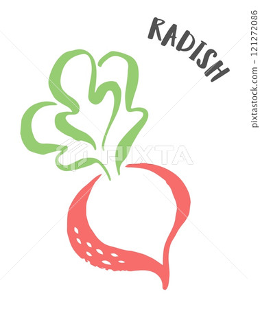 Radish hand painted with ink brush isolated on white background 121272086