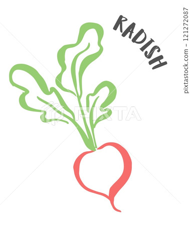 Radish hand painted with ink brush isolated on white background 121272087