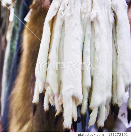 Pelts of ermine 121272191