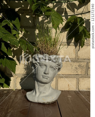 Bust Planter with Grass on Rustic Background Bust Planter with Grass on Rustic Background 121272340