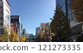 Akihabara (taken from the middle of the road during pedestrian precinct) 121273335