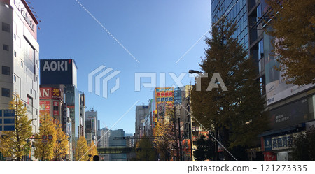 Akihabara (taken from the middle of the road during pedestrian precinct) Akihabara (taken from the middle of the road during pedestrian precinct) 121273335