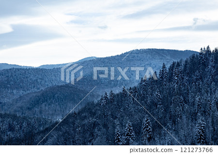 Snow covering the slopes of the mountains creating a breathtaking winter landscape 121273766