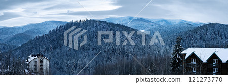Snow covering mountain houses and pine trees in winter 121273770