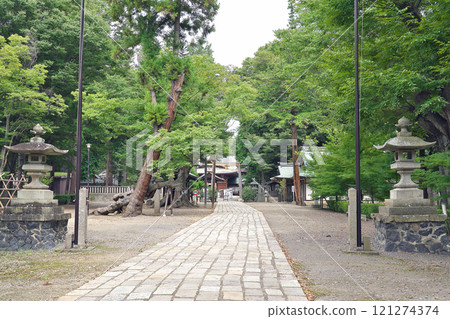 [武水別神社] 長野縣築曲市八幡 121274374