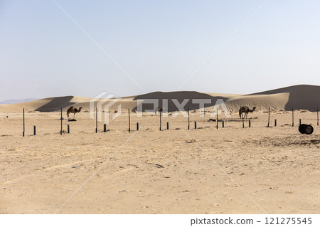 hot day in the Sahara desert hot day in the Sahara desert 121275545