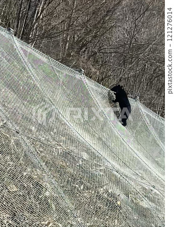 熊出沒 熊出沒 121276014