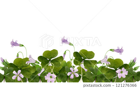 Watercolor board illustration of vibrant Oxalis Triangularis isolated on white background. Watercolor board illustration of vibrant Oxalis Triangularis isolated on white background. 121276366