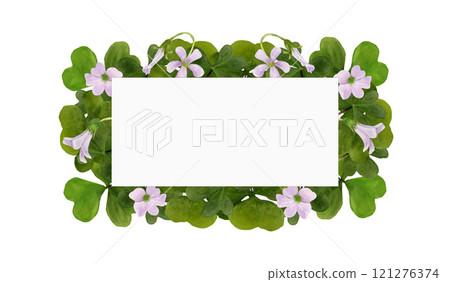 Watercolor frame illustration of vibrant Oxalis Triangularis isolated on white background. Watercolor frame illustration of vibrant Oxalis Triangularis isolated on white background. 121276374
