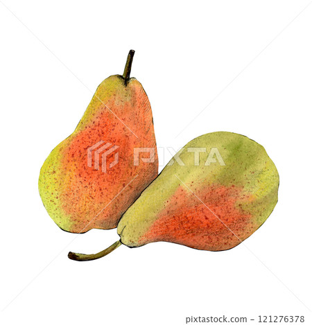 Watercolor sketch of delicious pears isolated on white background 121276378