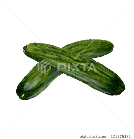 Watercolor illustration of cucumber isolated on white background Watercolor illustration of cucumber isolated on white background 121276381