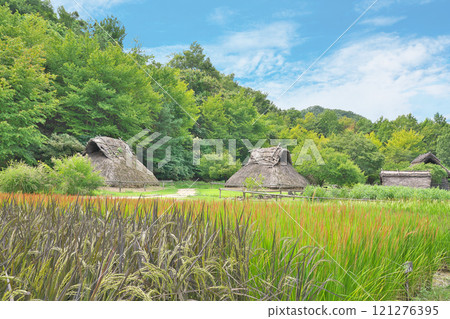 [Kanonosato Historical Park] Yashiro, Chikuma City, Nagano Prefecture 121276395