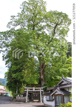 布施神社 121277059