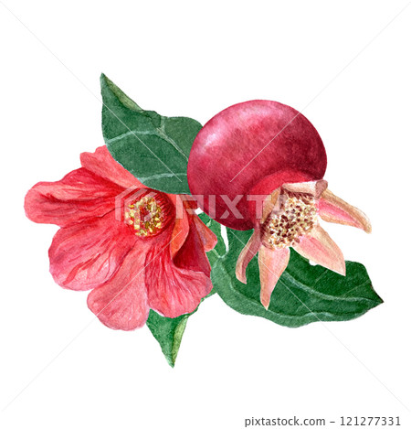 Pomegranate flowers, fruits and leaves vibrant watercolor composition isolated on white. Hand drawn realistic vibrant design for tea packages, cards, restaurant menu, prints. Summer clip art. Red 121277331