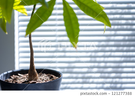 時尚的房間 121277388