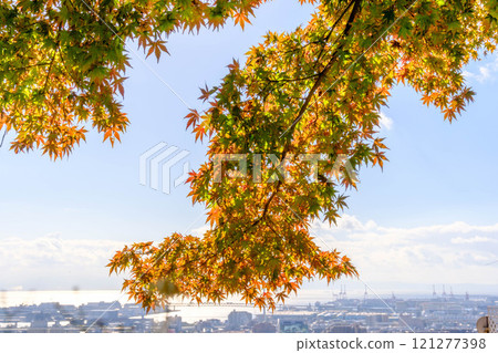 View of the city from Hokura Shrine in Kobe as the leaves begin to change color in autumn View of the city from Hokura Shrine in Kobe as the leaves begin to change color in autumn 121277398